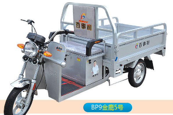 百事利电动车 金鹿5号