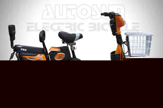 爱德森电动车 炫风