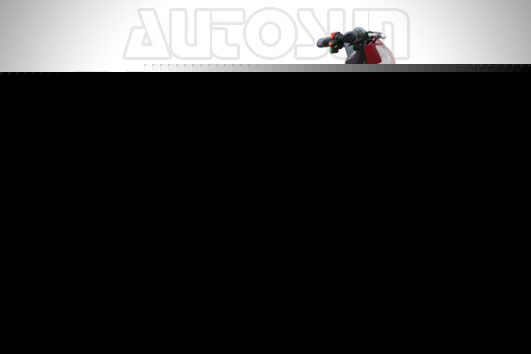 爱德森电动车 悦动