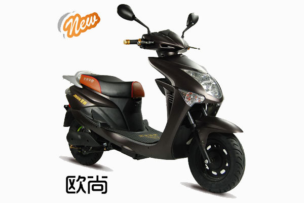 金狮电动车 欧尚