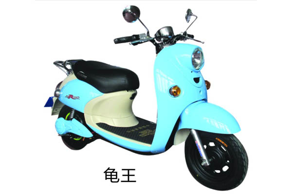 建设电动车 龟王