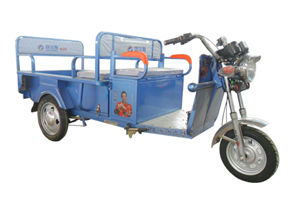 康尔斯电动车 太子平板