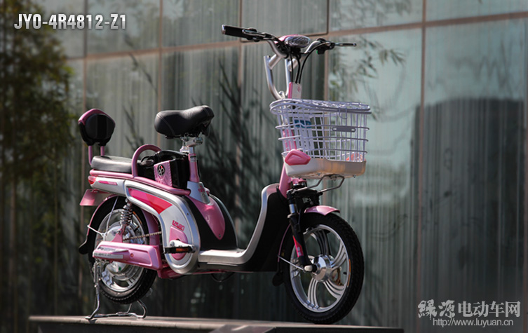 绿源电动车 JYQ-4R4812-Z1 