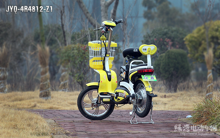 绿源电动车 JFF-4T4812-Z1