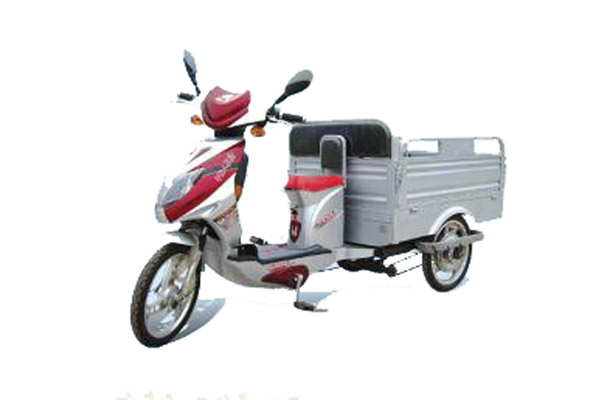 平安人家电动车 TDP-6A型三开门电动小货车