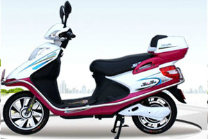 凤凰电动车 闪亮