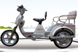 凤凰电动车 TDF-2型休闲车