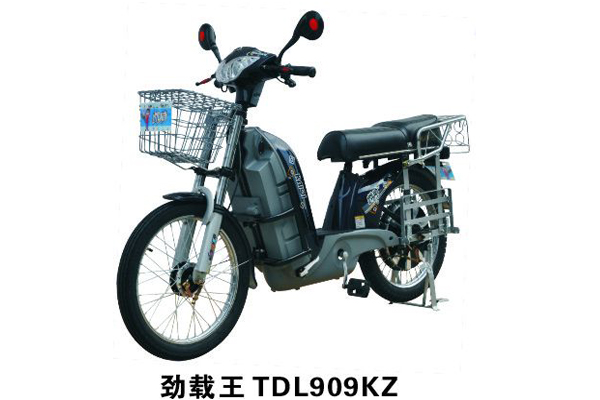 凯骑电动车 劲载王