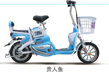 华速电动车 贵人鱼