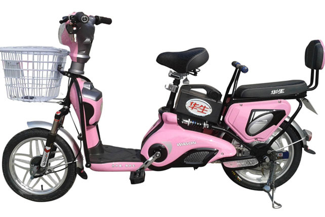 华生电动车 金凤凰