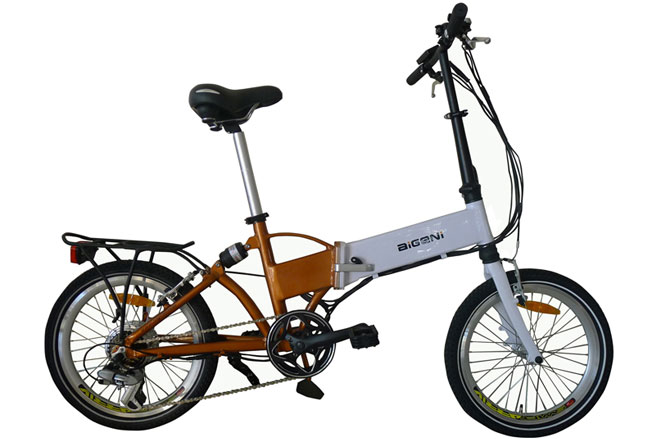 华生电动车 3