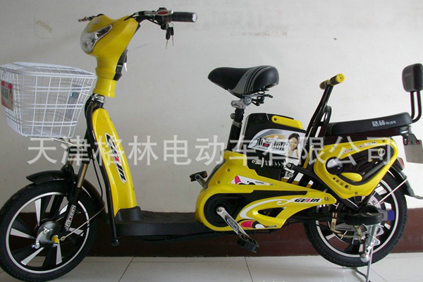 格林电动车 金蝴蝶16寸