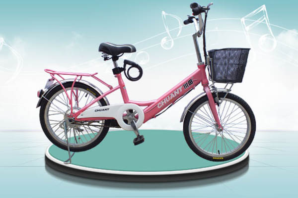 川田电动车 开乐