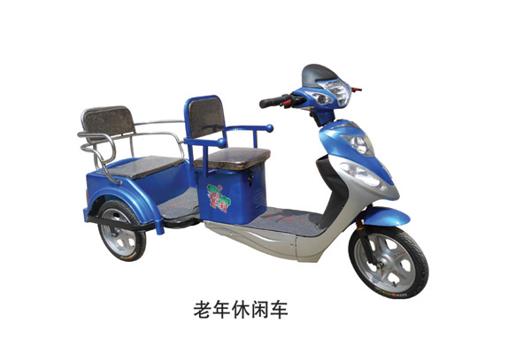 鼎利电动车 老年休闲车