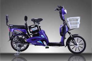 都市风电动车 金福牛四代
