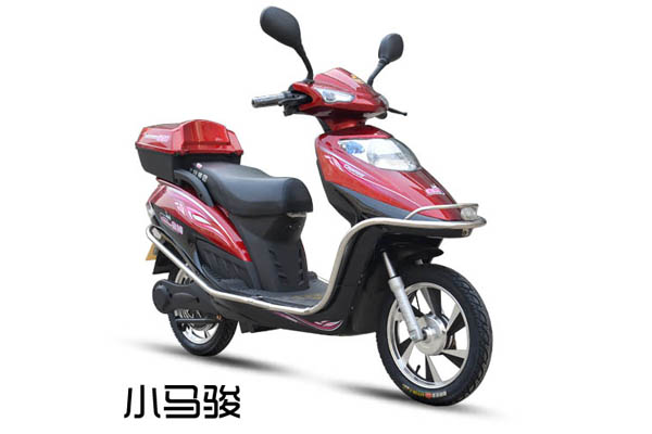 金狮电动车 小马骏