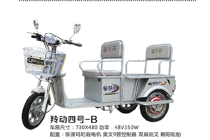 快羚电动车 羚动四号-B