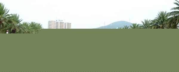 台铃营销商学院